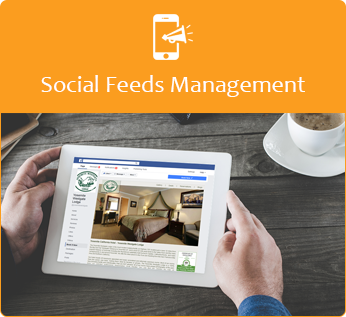 Social Feeds Management