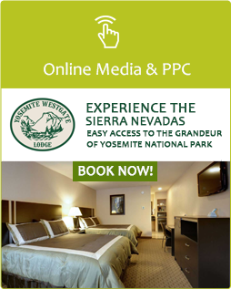 Online Media & PPC