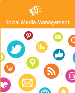Social Media Management