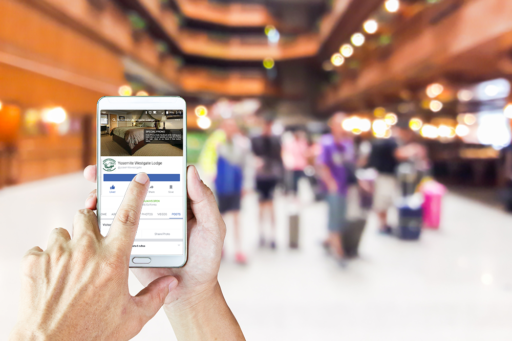 Likes, +1s, and Followers - Popularity on Social Media