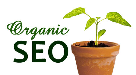 Organic Links to your Hotel Website